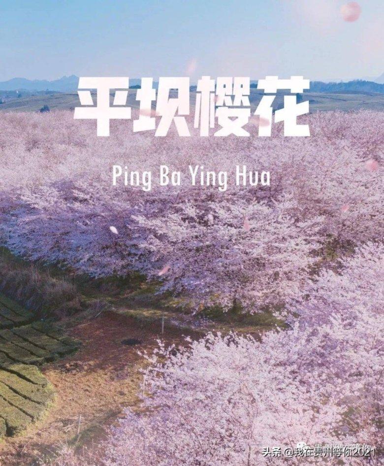 逗小猴开心系列214